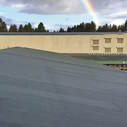 WALTER STORM MIDDLE SCHOOL <br> and CLE ELUM ELEMENTARY